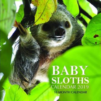 Book cover for Baby Sloths Calendar 2019