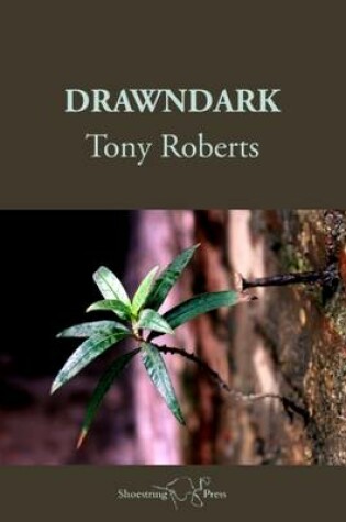 Cover of Drawndark