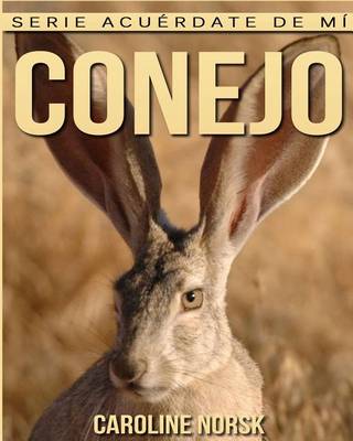 Book cover for Conejo