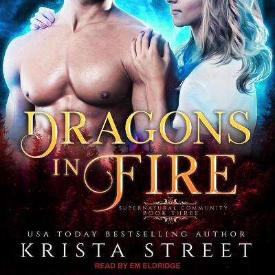 Book cover for Dragons in Fire