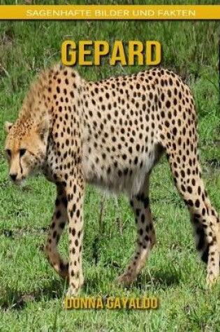 Cover of Gepard