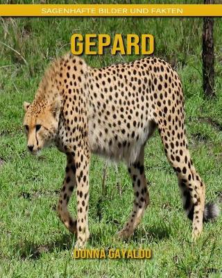 Book cover for Gepard