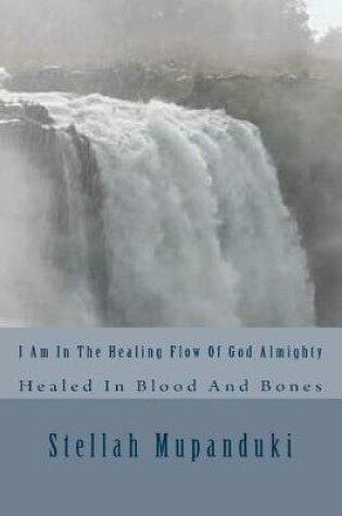 Cover of I Am in the Healing Flow of God Almighty