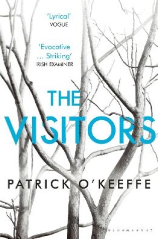 Cover of The Visitors