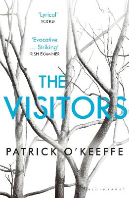 Book cover for The Visitors