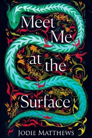 Cover of Meet Me at the Surface