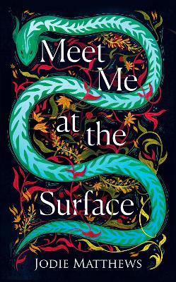 Book cover for Meet Me at the Surface