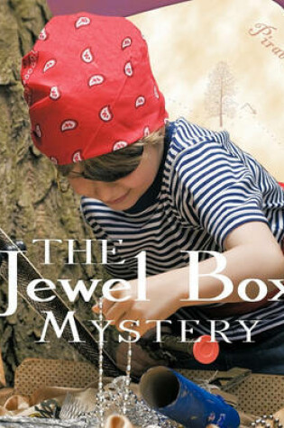 Cover of The Jewel Box Mystery