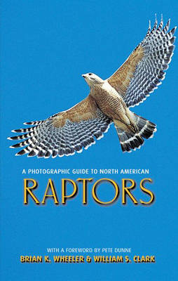 Book cover for A Photographic Guide to North American Raptors