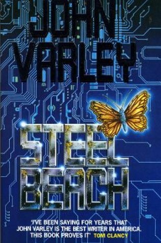 Cover of Steel Beach