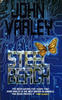 Book cover for Steel Beach