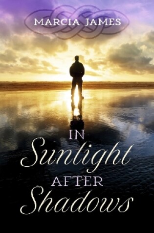 Cover of In Sunlight After Shadows