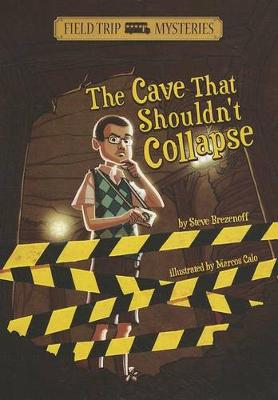 Cover of Cave That Shouldn't Collapse