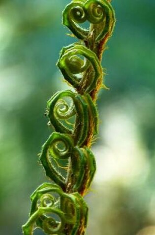 Cover of Fiddlehead Fern, for the Love of Nature