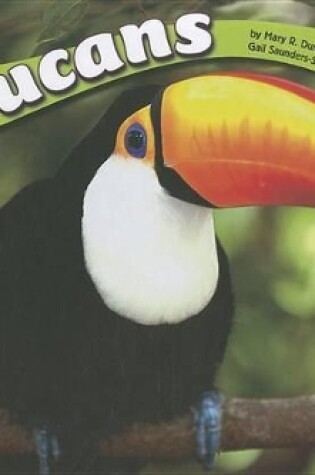 Cover of Toucans