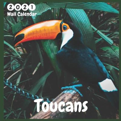 Book cover for Toucans 2021 Wall Calendar