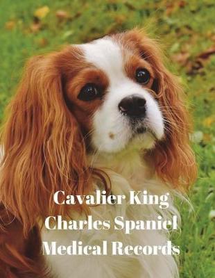 Book cover for Cavalier King Charles Spaniel Medical Records