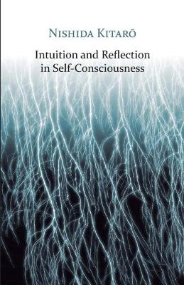 Cover of Intuition and Reflection in Self-Consciousness