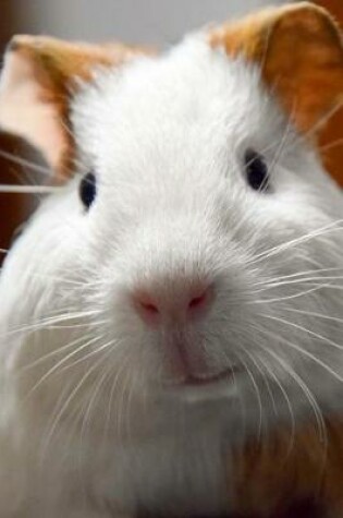 Cover of Prettiest Little Guinea Pig Up Close Up Pet Journal