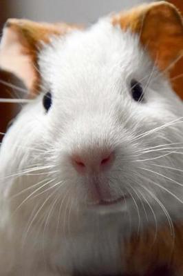 Book cover for Prettiest Little Guinea Pig Up Close Up Pet Journal