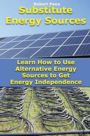 Cover of Substitute Energy Sources