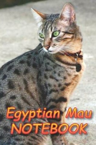Cover of Egyptian Mau NOTEBOOK
