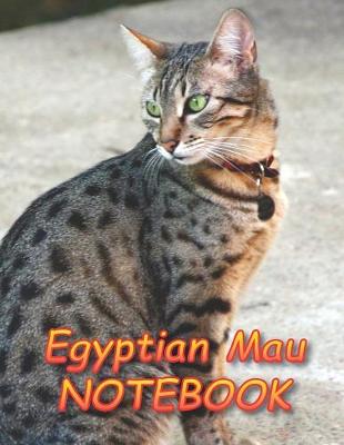 Book cover for Egyptian Mau NOTEBOOK