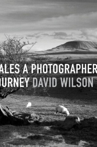 Cover of Wales: A Photographer's Journey