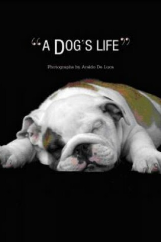 Cover of Dog's Life