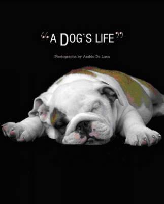 Book cover for Dog's Life