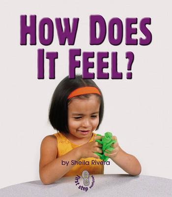 Book cover for How Does it Feel ?