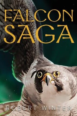 Cover of Falconsaga