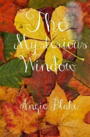 Cover of The Mysterious Window