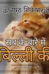 Book cover for जूनियर शिक्षार्थी, बिल्लियों के बारे में स&#23