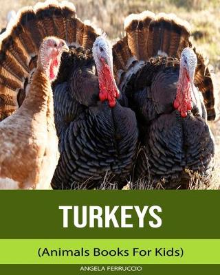 Book cover for Turkeys (Animals Books For Kids)