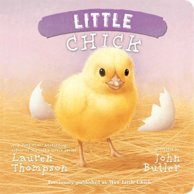 Book cover for Little Chick