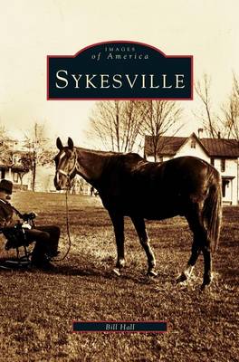 Book cover for Sykesville