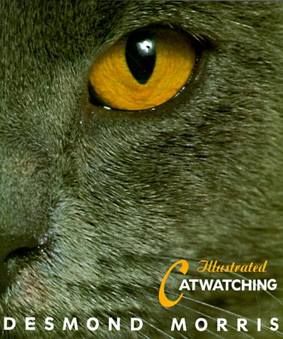 Book cover for Illustrated Catwatching