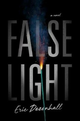 Cover of False Light