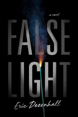 Book cover for False Light