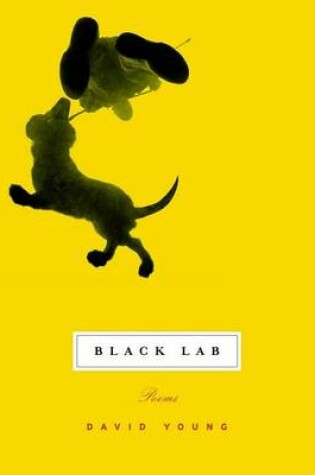 Cover of Black Lab