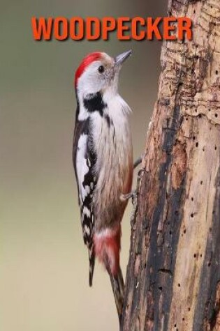 Cover of Woodpecker