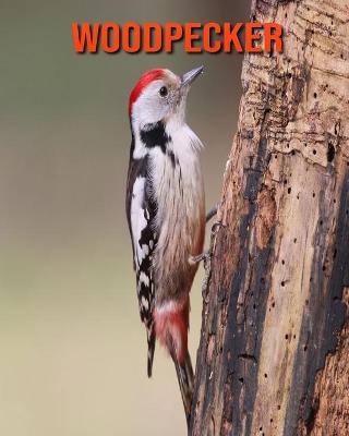 Book cover for Woodpecker