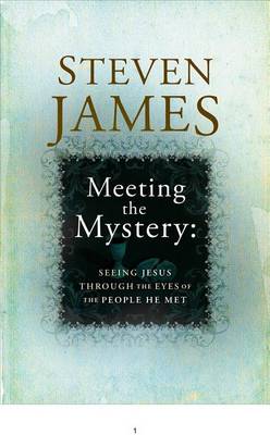 Book cover for Meeting the Mystery