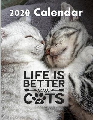 Book cover for Life Is Better With Cats 2020 Calendar