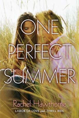 Book cover for One Perfect Summer