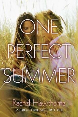 Cover of One Perfect Summer