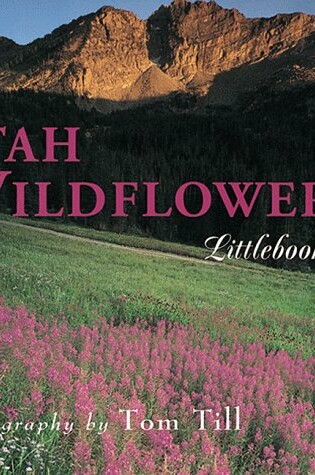 Cover of Utah Wildflowers