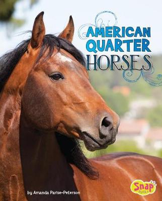 Book cover for American Quarter Horses
