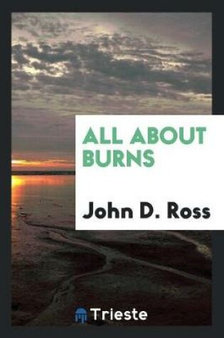 Cover of All about Burns